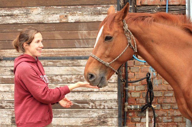 5 things you should never feed to your horse, JP Chret Shutterstock