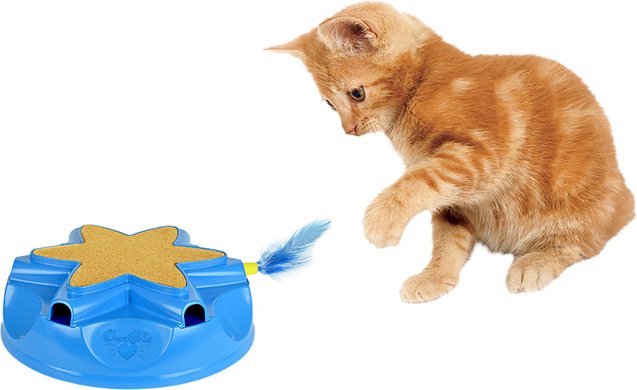 best electronic cat toys