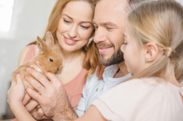 best rabbits for families, LightField Studios Shutterstock
