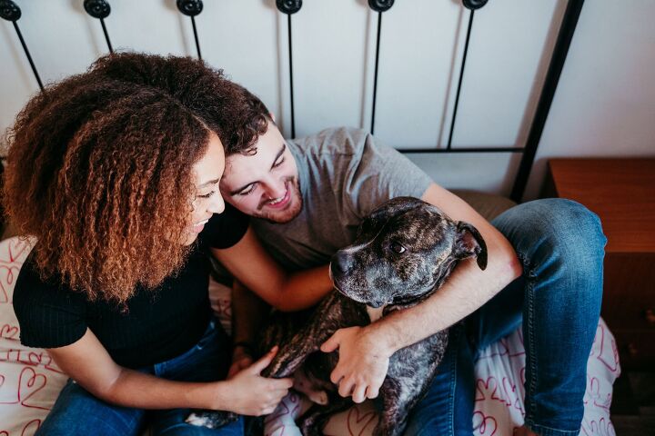 family reunited with a dog after 3 years thanks to a microchip, eva blanco Shutterstock